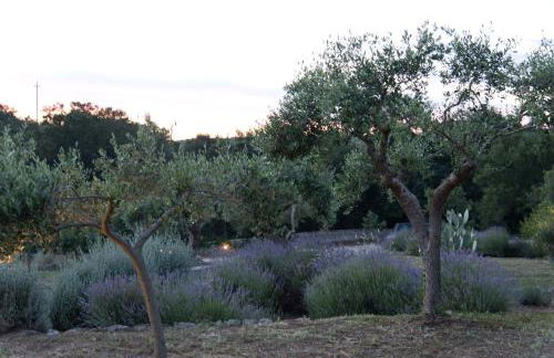 Dimora Casanoja - Foto 16