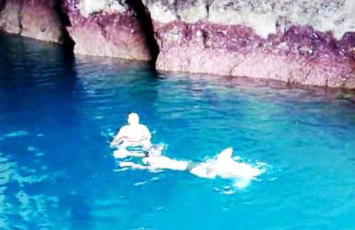 Caribe Brasileiro a 2 passos da areia - Photo 32