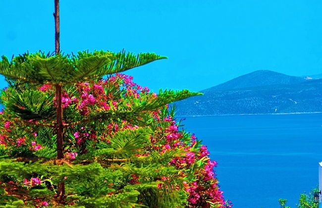 Villa Agnanti - Foto 43