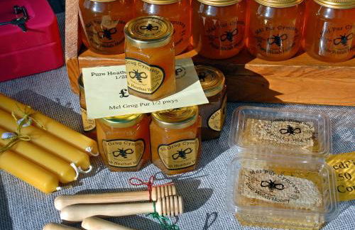 Yr Hen Felin - Foto 33