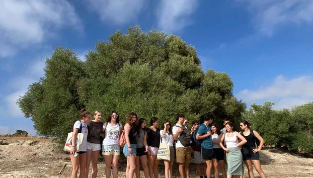 Herriza de La Lobilla Visit + Olive Oil Tasting - Foto 4