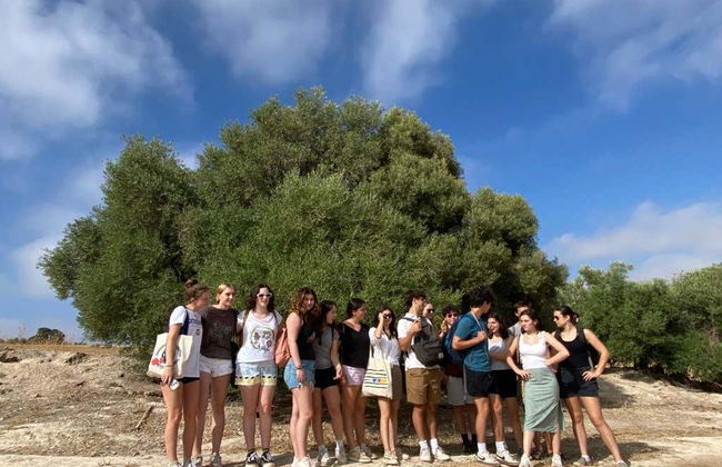 Herriza de La Lobilla Visit + Olive Oil Tasting - Foto 4