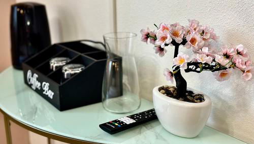 Les Appartements du Mas - Studio Ambre - Foto 5