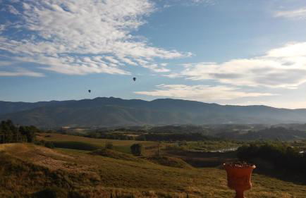 Tenuta i Lecci di Gurian Roberta Maura - Foto 131