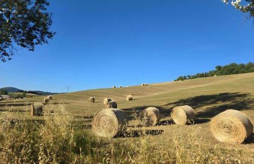 Villette di Contignano - Foto 72