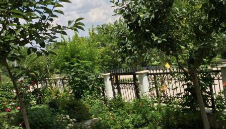 Dream Studios - Photo 4, Garden view