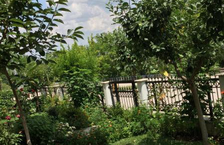 Dream Studios - Foto 4