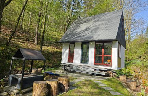 DOMKI w LESIE NAD RZEKĄ - Foto 13