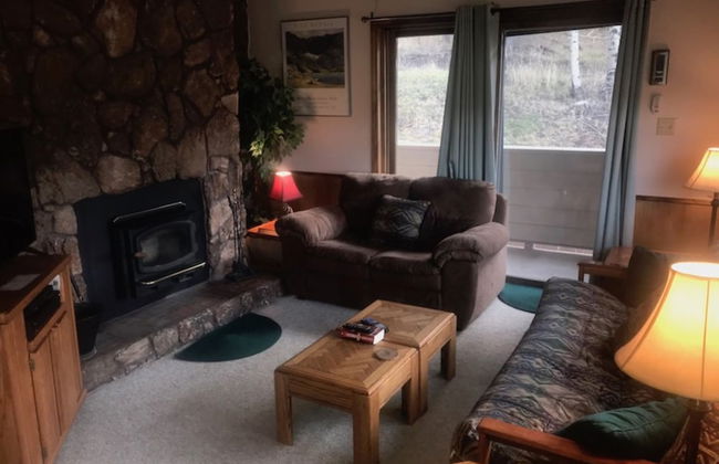 Gold Creek in Angel Fire - Foto 1