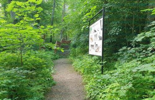 Apartament Blisko Jeziora - Foto 16