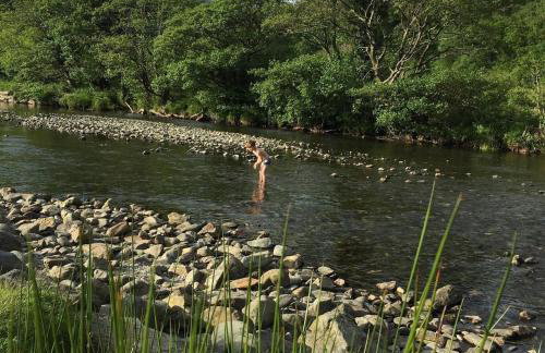 Snowdonia Stone Cottage - Photo 21