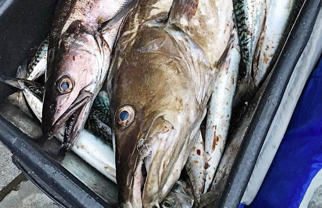 10 Person Holiday Home in Bygstad-by Traum - Foto 40