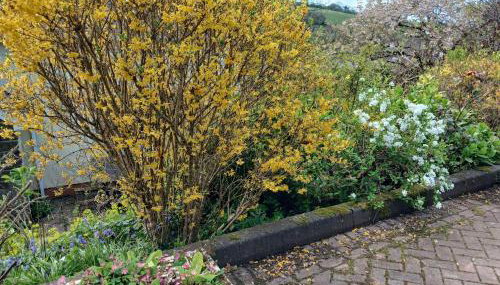 Laugharne Cottage Golwg Harddwch - pure water - Foto 2