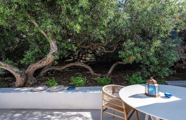 Vico San Lorenzo - Camere a Salina - Foto 35