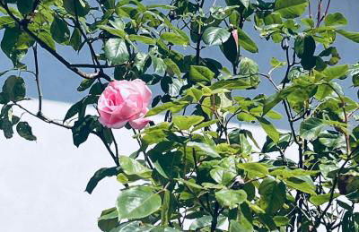 LevOasi 3 - Lake & mountain view escape - Foto 20