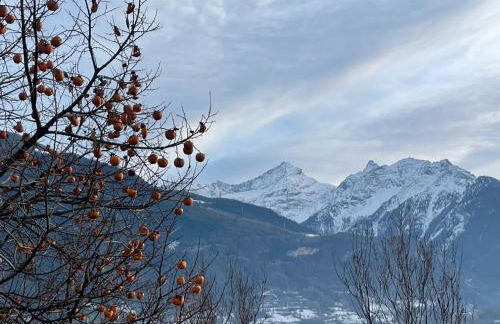 Verger Plein Soleil - Foto 14