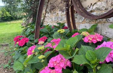 Gîte Les Petits Belézins - Foto 40