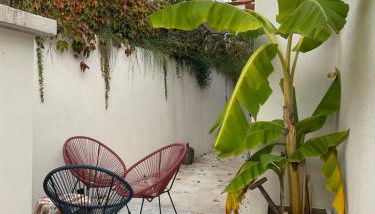 Maison avec vue mer et jacuzzi à 15 mn du centre - Foto 2, Garden view