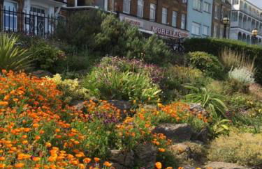 Sea Song Cottage - Foto 50