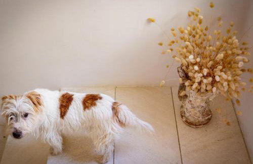 Design&Art Seafront Villa - Foto 78