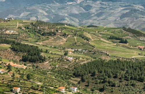 Quinta da Padrela Winery House - Foto 39