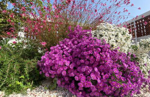 Maison Armandì - Foto 21