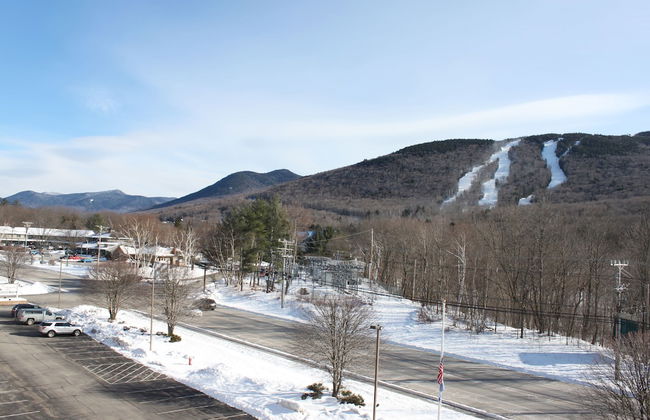 The Nordic Inn a Condominium Resort - Photo 39