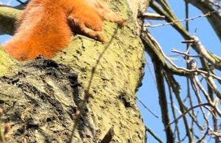 Storm Cottage in the Countryside - Foto 42