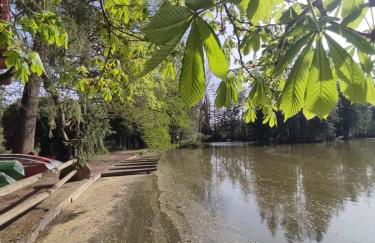FeWo Sulzbachtal, Nähe Europa-Park, Rulantica, Schwarzwald, Feldberg - Foto 47