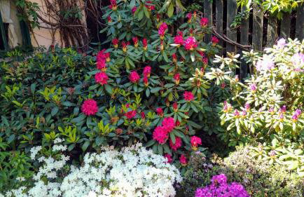 Słoneczne apartamenty - Photo 28