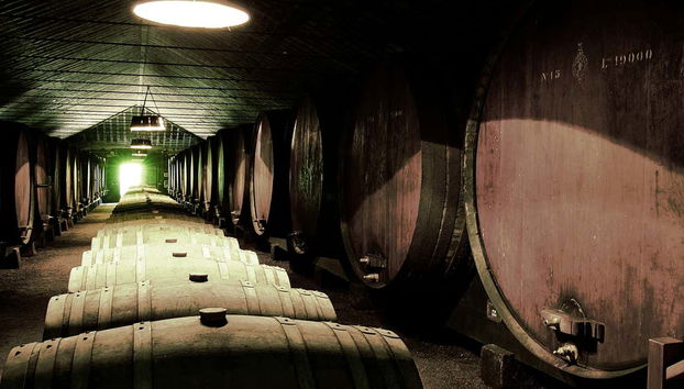 Alla scoperta della cantina vinicola