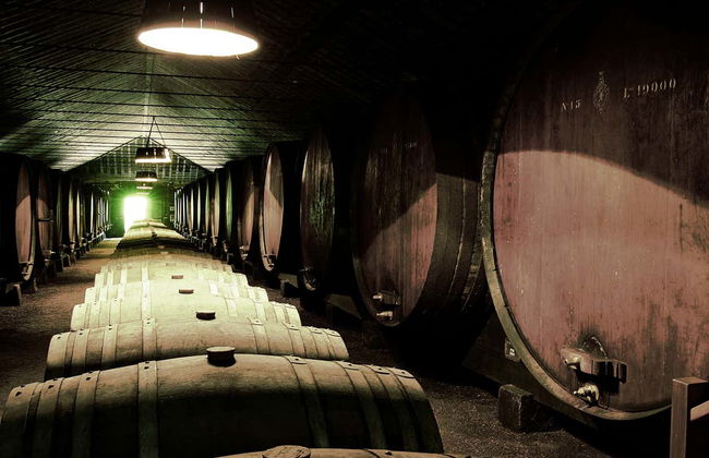 Visite d'Arrábida + Dégustation de vins - Photo 5