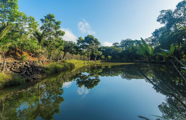 Kaluma Villas - Foto 47