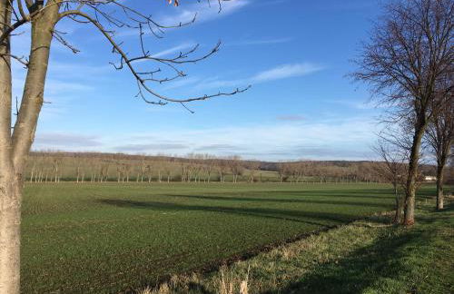 Gästehaus Am Wald Oschersleben - Foto 20