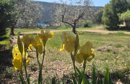Les Oliviers Du Lac - Foto 26