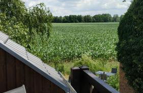 Ferienwohnung im Spreewald in idyllischer Alleinlage - Foto 7