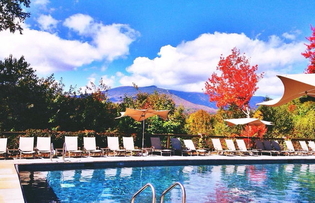 Topnotch_463 - Foto 16