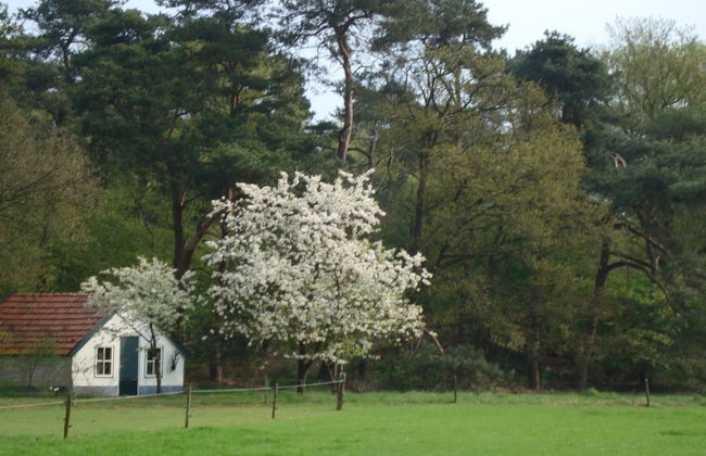 Fine Vacation Home Near Lemelerberg - Photo 35