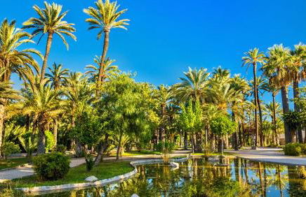 Low Cost Apartments Center Elche - Foto 23