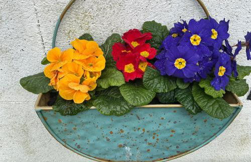 Rose Cottage Moira - Foto 20