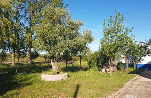 Quinta da Paz - Foto 8