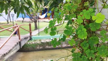 Cores do Cerrado - chalés e suítes - Foto 5