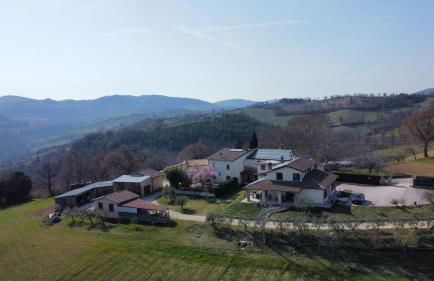 Casa vacanze fra gli ulivi - Foto 24