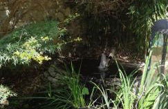 Gîte cévenol avec SPA et Piscine privatifs - Foto 33