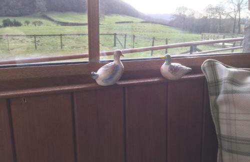 Experience the Peace & Quiet in the North York Moors at Rawcliffe House Farm - Foto 80