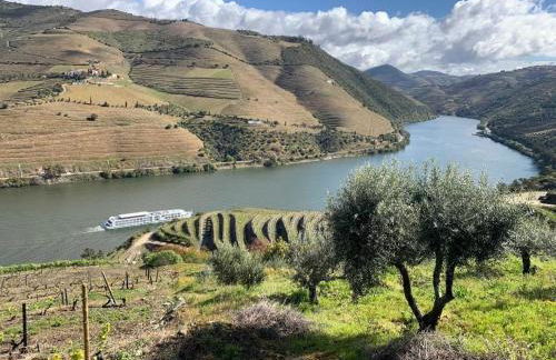 Quinta da Casa Cimeira, Guest House, Wines & Food - Foto 76