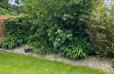 Seacoast View - Foto 36