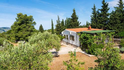 Holiday home - Villa Bianca - Foto 3, Garden