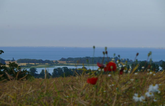 Beautiful Authentic Mill Close to the Beach - Foto 22