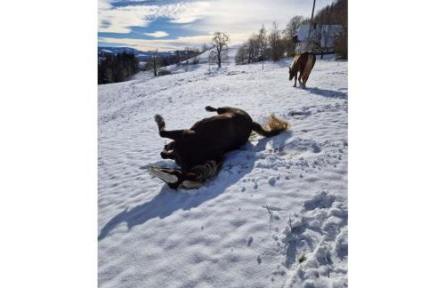 Holiday apartment in St Peter with balcony - Foto 1